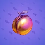 Precious Peach #520 Precious Peach #520