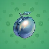 Precious Peach #522 Precious Peach #522
