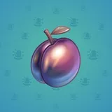 Precious Peach #524 Precious Peach #524