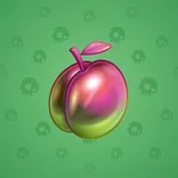 Precious Peach #529 Precious Peach #529