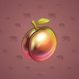 Precious Peach #536 Precious Peach #536