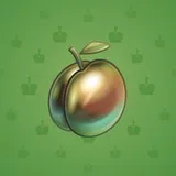 Precious Peach #552 Precious Peach #552