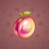 Precious Peach #558 Precious Peach #558