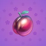 Precious Peach #559 Precious Peach #559