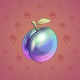 Precious Peach #583 Precious Peach #583