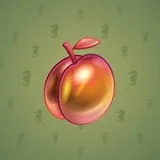 Precious Peach #600 Precious Peach #600