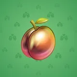 Precious Peach #615 Precious Peach #615