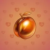 Precious Peach #627 Precious Peach #627
