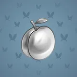 Precious Peach #641 Precious Peach #641