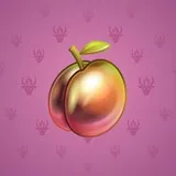 Precious Peach #652 Precious Peach #652