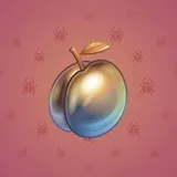 Precious Peach #657 Precious Peach #657