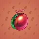 Precious Peach #667 Precious Peach #667