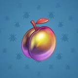 Precious Peach #67 Precious Peach #67