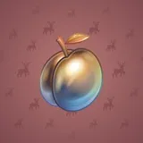 Precious Peach #677 Precious Peach #677