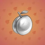 Precious Peach #678 Precious Peach #678