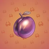 Precious Peach #681 Precious Peach #681