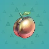 Precious Peach #699 Precious Peach #699