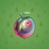 Precious Peach #724 Precious Peach #724