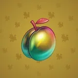 Precious Peach #77 Precious Peach #77