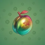 Precious Peach #78 Precious Peach #78