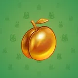Precious Peach #818 Precious Peach #818