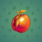Precious Peach #841 Precious Peach #841