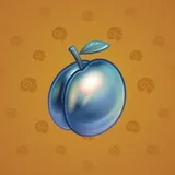 Precious Peach #851 Precious Peach #851