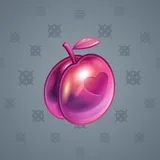 Precious Peach #865 Precious Peach #865