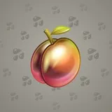 Precious Peach #879 Precious Peach #879