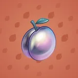 Precious Peach #885 Precious Peach #885