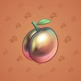 Precious Peach #897 Precious Peach #897
