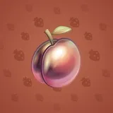 Precious Peach #904 Precious Peach #904