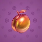 Precious Peach #916 Precious Peach #916