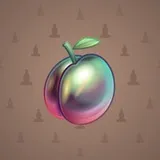 Precious Peach #978 Precious Peach #978
