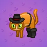 Scared Cat #10011 Scared Cat #10011