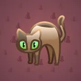 Scared Cat #10036 Scared Cat #10036