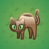 Scared Cat #10176 Scared Cat #10176