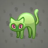 Scared Cat #10314 Scared Cat #10314