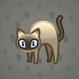 Scared Cat #10384 Scared Cat #10384