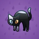 Scared Cat #10429 Scared Cat #10429