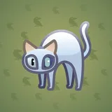 Scared Cat #1043 Scared Cat #1043
