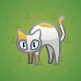 Scared Cat #10495 Scared Cat #10495