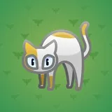 Scared Cat #10552 Scared Cat #10552