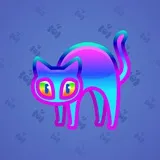 Scared Cat #10598 Scared Cat #10598