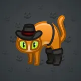 Scared Cat #10607 Scared Cat #10607