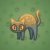 Scared Cat #10646 Scared Cat #10646