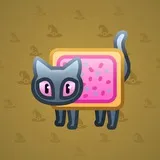 Scared Cat #10649 Scared Cat #10649