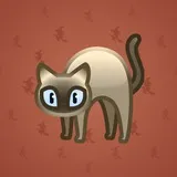Scared Cat #10664 Scared Cat #10664