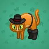 Scared Cat #10757 Scared Cat #10757