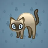 Scared Cat #10758 Scared Cat #10758